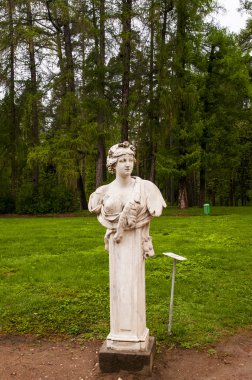 Rus arkhangelskoye Emlak