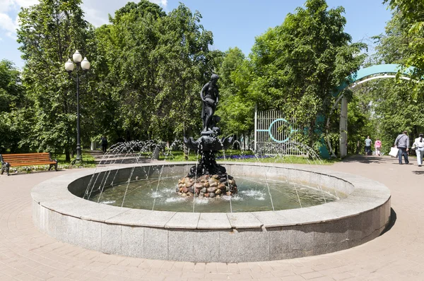 Den gamla fontänen av granit och järn i det centrala torget i Savoy — Stockfoto