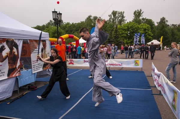 Artes marciales — Foto de Stock