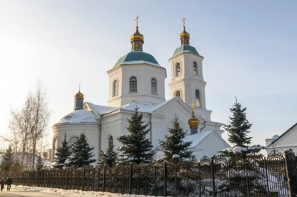 Тарська церква в зиму Омський — стокове фото