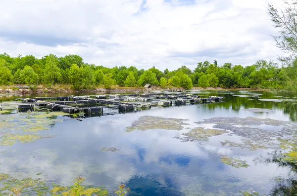 Balık çiftliği gölet Tayland