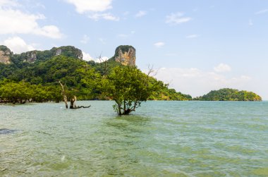 Kumsalda kişi, açılış tarihi yarımadanın railay Tayland