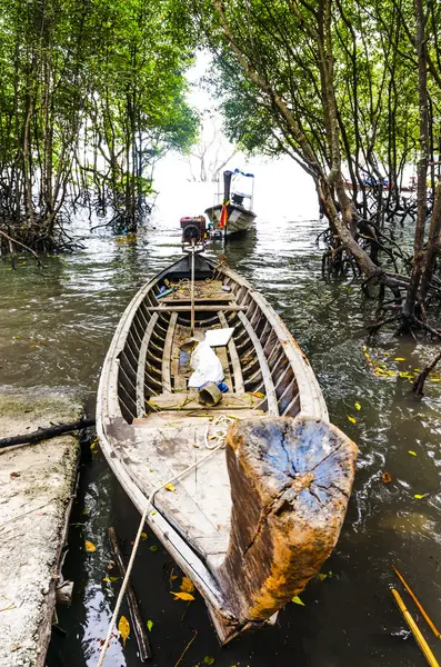 Traditionele Thaise boot in de mangrove bossen naar de zee in de Thaise — Stockfoto