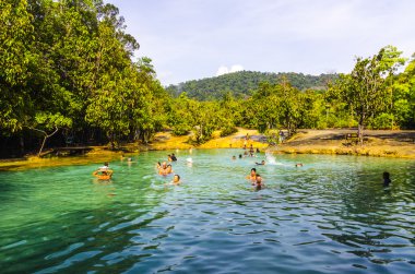 ağaçlar ve asmalar orman Milli Parkı Tayland çalılık