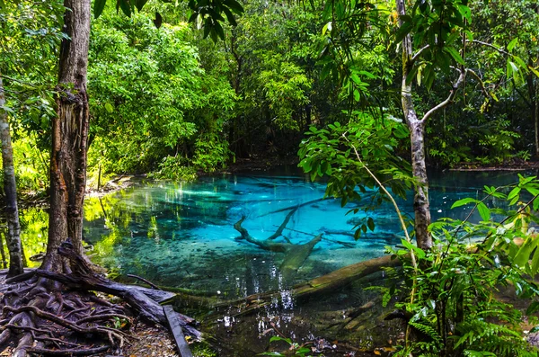 Blue Stream and lake in the jungles of Thailand — Stock Photo, Image