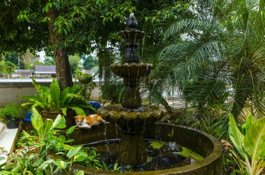 Tayland. Kaplan manastır wat tham su Mağarası