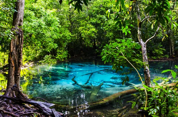 The Blue Lagoon, a lake and a spring in the jungle — Stock Photo, Image