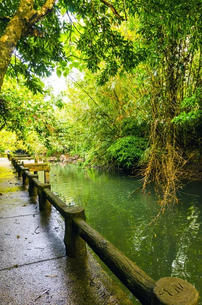 tropikal nehir orman ve sıcak radon bahar. Tayland