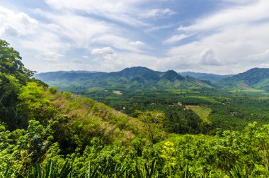 dağlar ve çayır çimen ve ağaçlarda krabi thailand ilinin kaplı görünümü