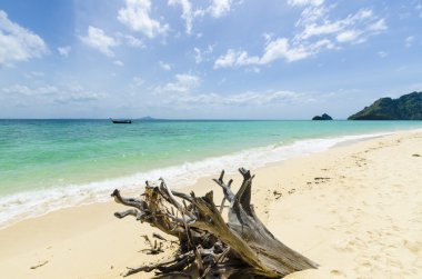 Eski ölü ağaçlar bakla tropikal Tay adada beyaz kum plaj