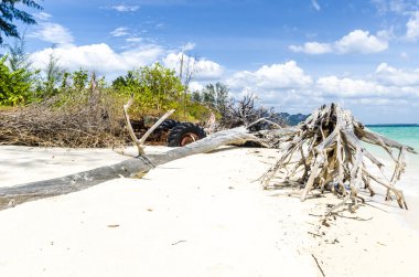 Eski ölü ağaçlar bakla tropikal Tay adada beyaz kum plaj