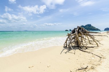 Eski ölü ağaçlar bakla tropikal Tay adada beyaz kum plaj