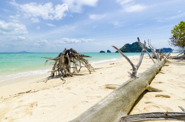 Eski ölü ağaçlar bakla tropikal Tay adada beyaz kum plaj