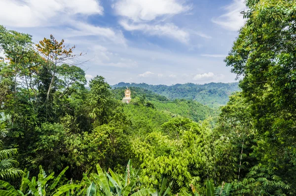 Vista das montanhas e prados cobertos de grama e árvores na província de Krabi Tailândia — Fotografia de Stock