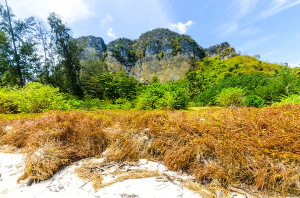 Montanha no parque no centro de uma ilha tropical tailandesa Poda em um fundo de grama e areia — Fotografia de Stock