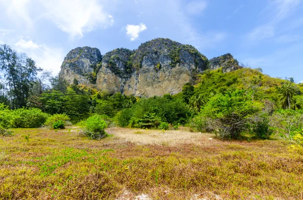 Montaña en el parque en el centro de una isla tropical tailandesa Poda sobre un fondo de hierba y arena —  Fotos de Stock