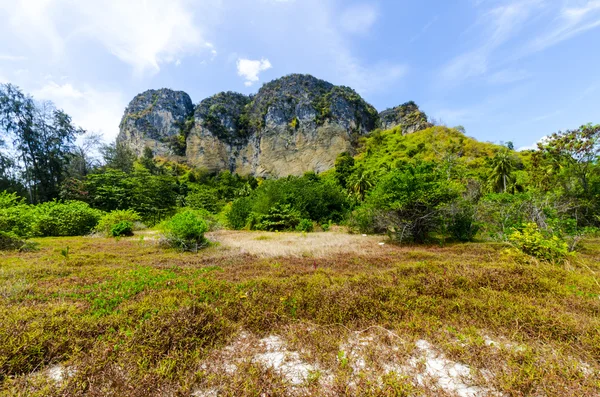 Montaña en el parque en el centro de una isla tropical tailandesa Poda sobre un fondo de hierba y arena —  Fotos de Stock