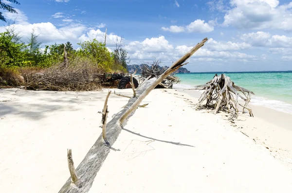 Old dead tree on the beach with white sand on the Thai island of Pod in the tropics — Stock Photo, Image