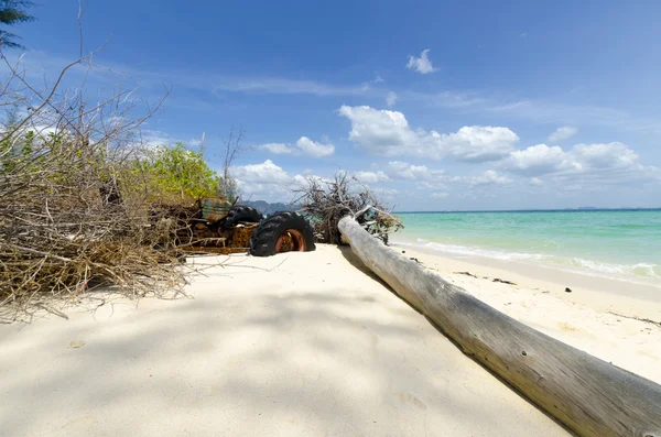 Old dead tree on the beach with white sand on the Thai island of Pod in the tropics — Stock Photo, Image