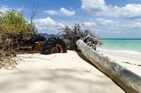 Old dead tree on the beach with white sand on the Thai island of Pod in the tropics — Stock Photo, Image