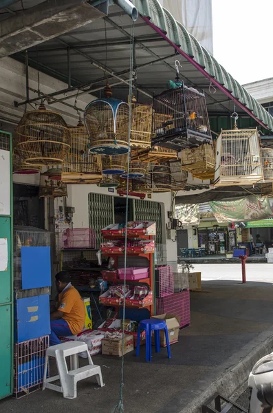 Tienda de mascotas con celdas para pájaros en Tailandia — Foto de Stock