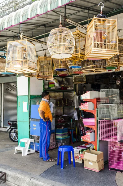 Loja de animais de estimação com células para pássaros na Tailândia — Fotografia de Stock