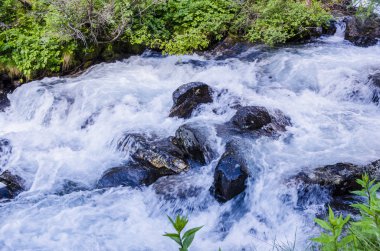 dağ dere çevrili dağ alanları arasında akan. Lombardiya'nın dağları. brescia bölgesi. Kuzey İtalya