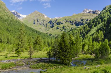 dağ dere çevrili dağ alanları arasında akan. Lombardiya'nın dağları. brescia bölgesi. Kuzey İtalya