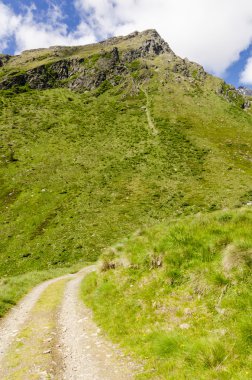 Görünüm Alps kayalar ve yaz aylarında Kuzey İtalya, lombardy, brescia adamello tepe üzerinde açık bir günde bölgesi bitki örtüsü