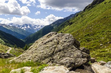 Görünüm Alps kayalar ve yaz aylarında Kuzey İtalya, lombardy, brescia adamello tepe üzerinde açık bir günde bölgesi bitki örtüsü