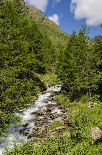 Ruscello di montagna che scorre tra i campi alpini circondati dalle Alpi. Montagne della Lombardia. Regione di Brescia. Italia settentrionale — Foto Stock