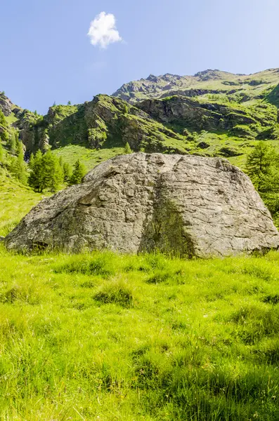 Blick auf die Alpen mit Felsen und Vegetation im Sommer in Norditalien, Lombardei, die Region von Brescia adamello Gipfel an einem klaren Tag — Stockfoto