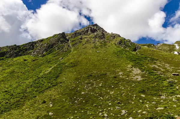 Vista dos Alpes com rochas e vegetação no verão no norte da Itália, Lombardia, a região de Brescia Adamello pico em um dia claro — Fotografia de Stock