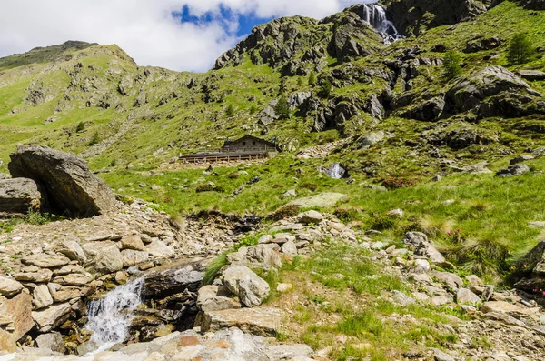 Uitzicht op de Alpen met rotsen en vegetatie in de zomer in Noord-Italië, Lombardije, de regio van brescia adamello piek op een heldere dag — Stockfoto