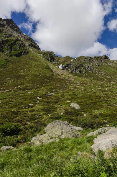 Vista dos Alpes com rochas e vegetação no verão no norte da Itália, Lombardia, a região de Brescia Adamello pico em um dia claro — Fotografia de Stock