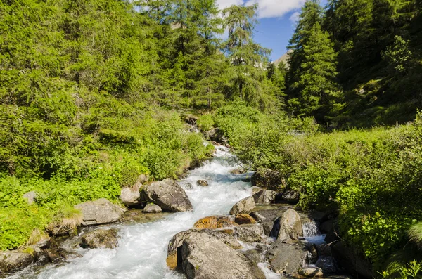Hegyi patak áramlik az Alpok által körülvett alpine mezők között. Lombardia-hegység. Régió Brescia. Észak-Olaszország Stock Fotó