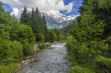 Alpin çayır peyzaj yüksek dağların berrak yaz, güneşli bir gün. Kuzey İtalya