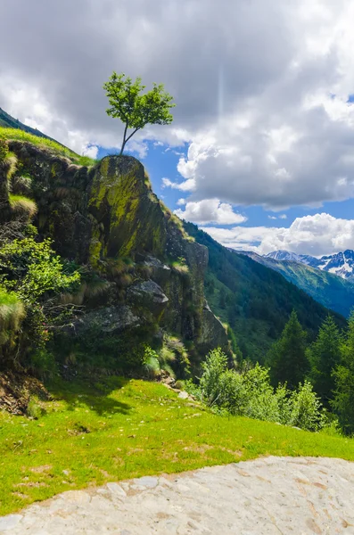 Alpine weide landschap van hoge bergen op een duidelijk zomer, zonnige dag. Noord-Italië — Stockfoto
