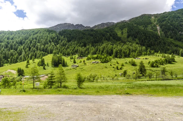 Pradera alpina paisaje de altas montañas en un claro verano, día soleado. Norte de Italia —  Fotos de Stock
