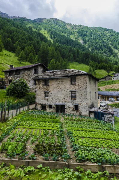 Kamenný dům ve vesnici alpských pastevců v italských Alpách letní louky — Stock fotografie