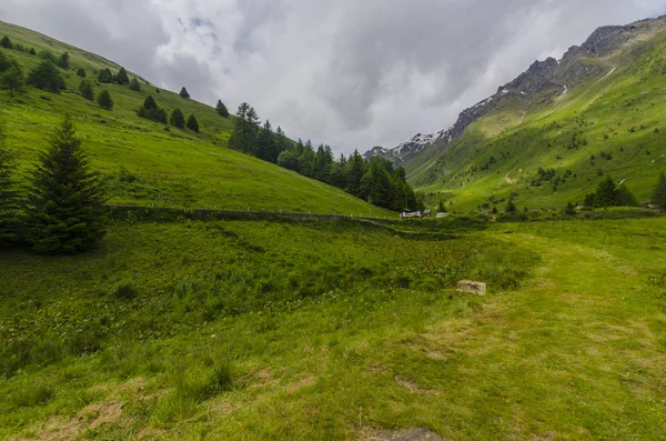 Paysage de prairies alpines de hautes montagnes par un été clair et ensoleillé. Italie du Nord — Photo