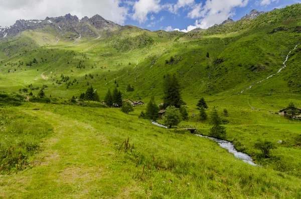 Prato alpino paesaggio di alta montagna in una limpida estate, giornata di sole. Italia settentrionale — Foto Stock