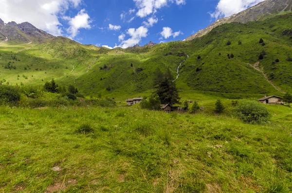 Prato alpino paesaggio di alta montagna in una limpida estate, giornata di sole. Italia settentrionale — Foto Stock