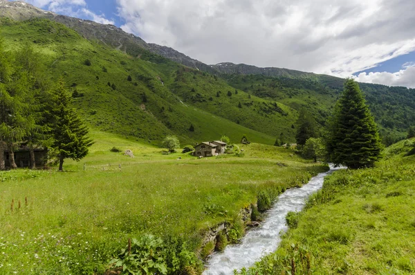 Prato alpino paesaggio di alta montagna in una limpida estate, giornata di sole. Italia settentrionale — Foto Stock