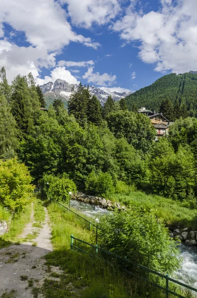 Pradera alpina paisaje de altas montañas en un claro verano, día soleado. Norte de Italia —  Fotos de Stock