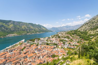 Kotor eski şehir manzarası. Kırmızı kiremitli çatılar ve defne Güney fiyort
