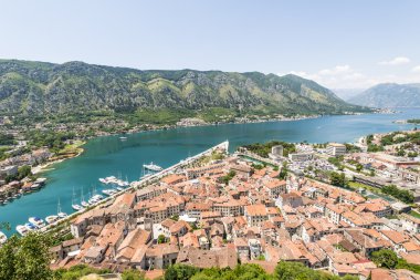 Kotor eski şehir manzarası. Kırmızı kiremitli çatılar ve defne Güney fiyort