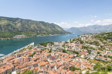 Kotor eski şehir manzarası. Kırmızı kiremitli çatılar ve defne Güney fiyort