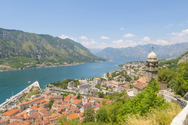 Kotor eski şehir manzarası. Kırmızı kiremitli çatılar ve defne Güney fiyort