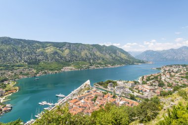 Kotor eski şehir manzarası. Kırmızı kiremitli çatılar ve defne Güney fiyort
